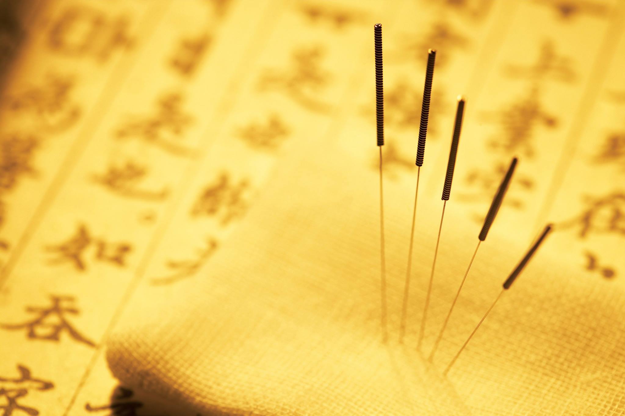 Traditional Chinese Medicine Accupuncture: 醫學堂 (嘉峰臺)
